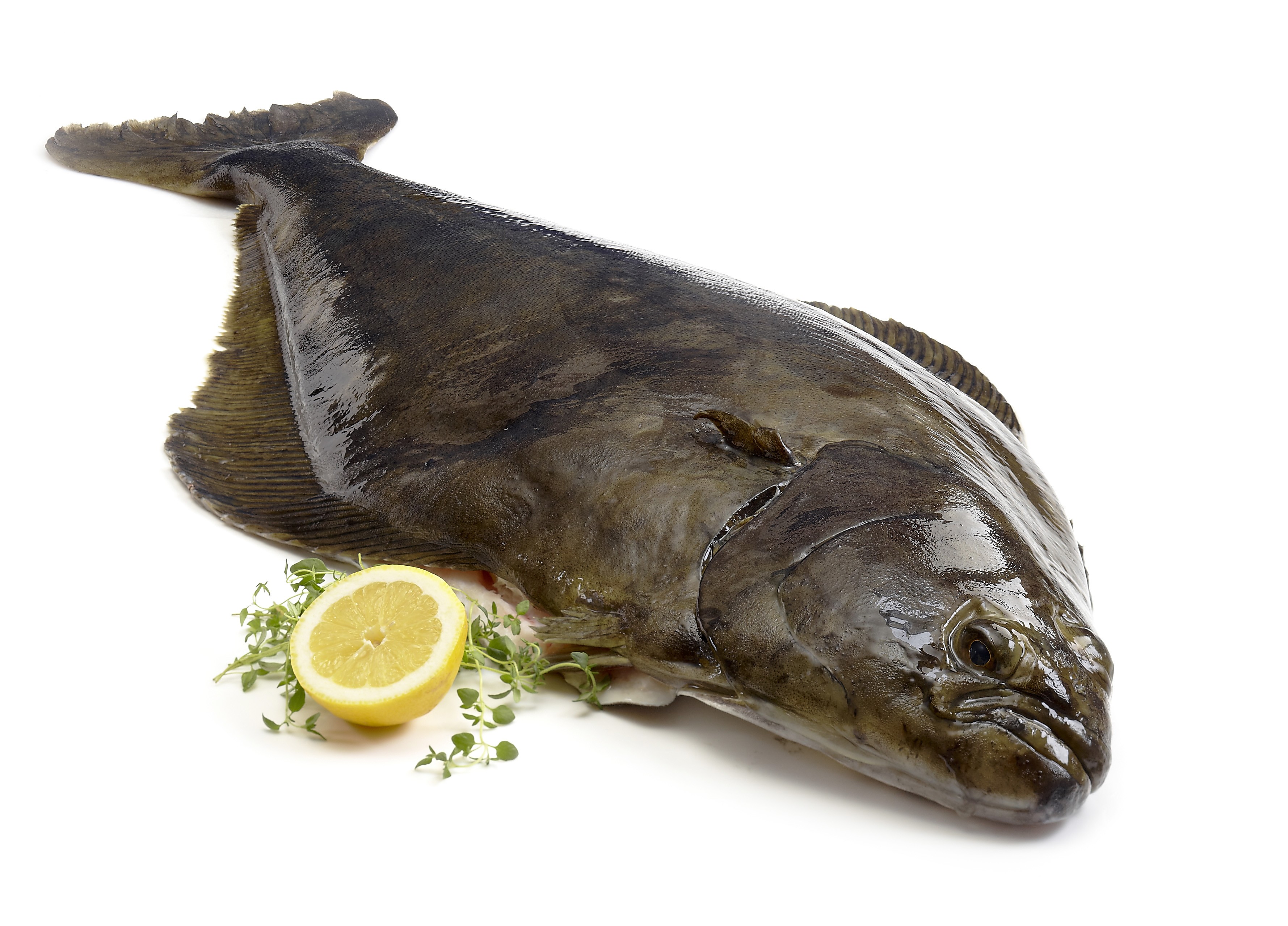 Kveite uten hode 6-25 kg vill