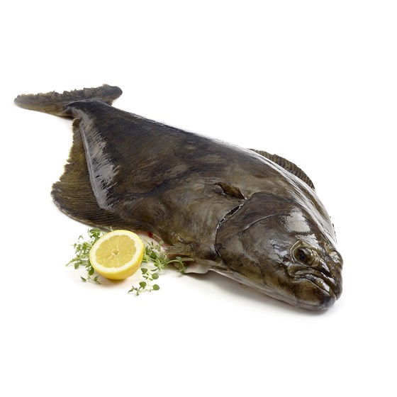 Kveite uten hode 6-25 kg vill