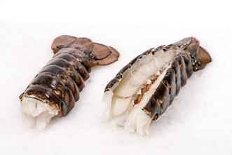 MSC Hummerhale m/skall 25 stk