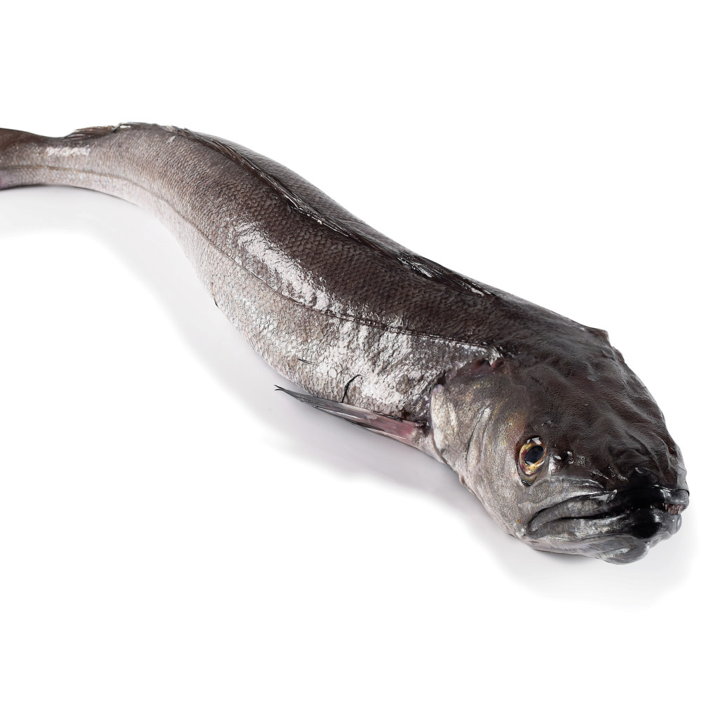 Lysing Hel 4+ Fersk 1 stk