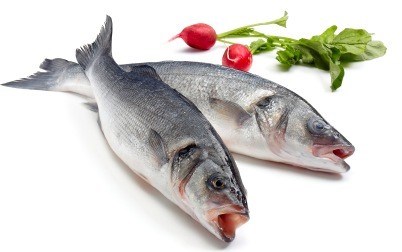 Sea Bass. 4-600 gr. Fersk