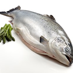 Laks. hel 6-7 kg fersk