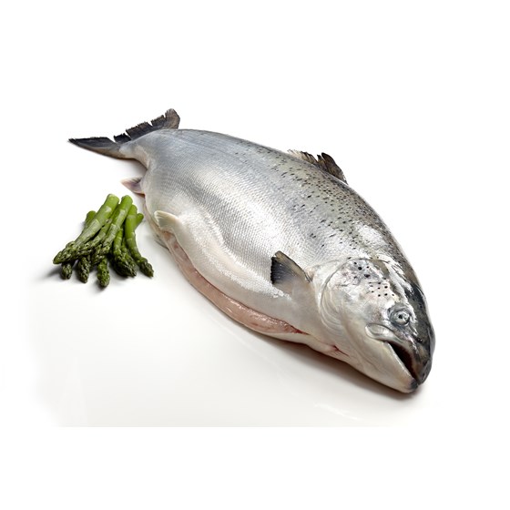 Laks. hel 6-7 kg fersk