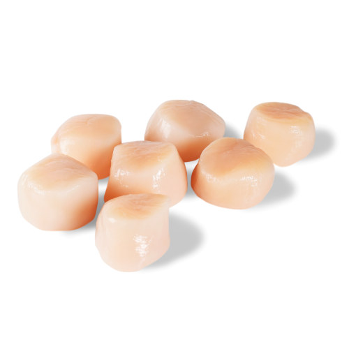 MSC Kamskjell Sjøfryst 20/30