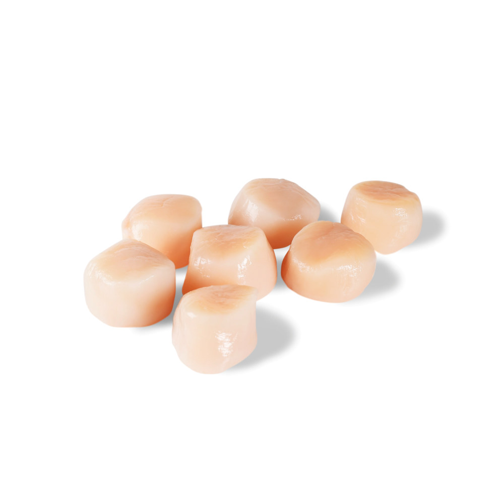 MSC Kamskjell Sjøfryst 10/20