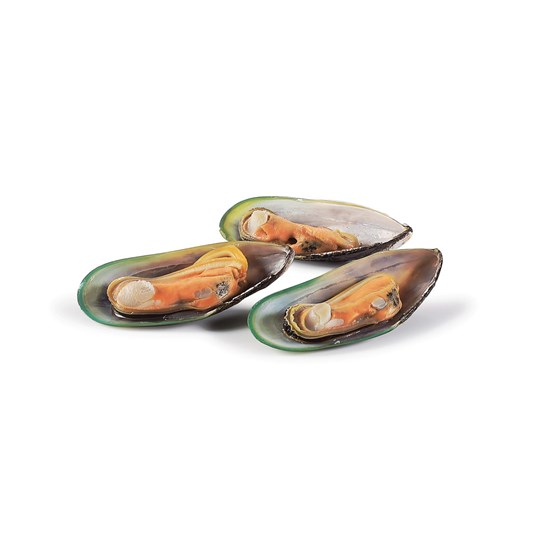 Greenskjell NZ halv dypf. 12x