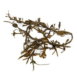 Tang 3 kg