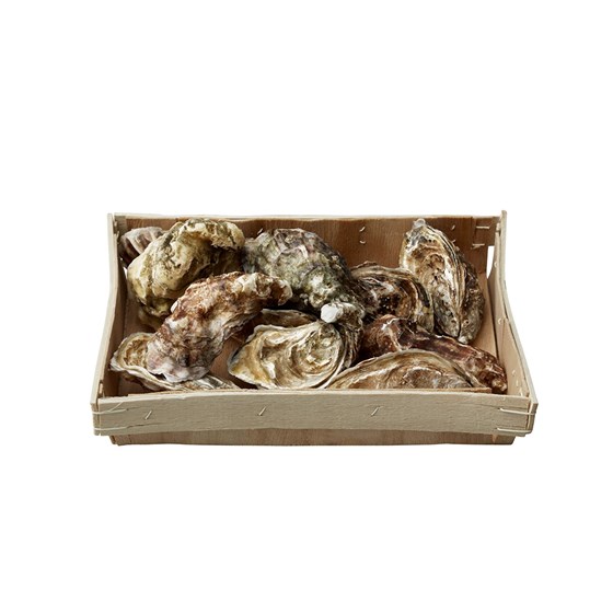 Østers Fine de Claire 12 stk 