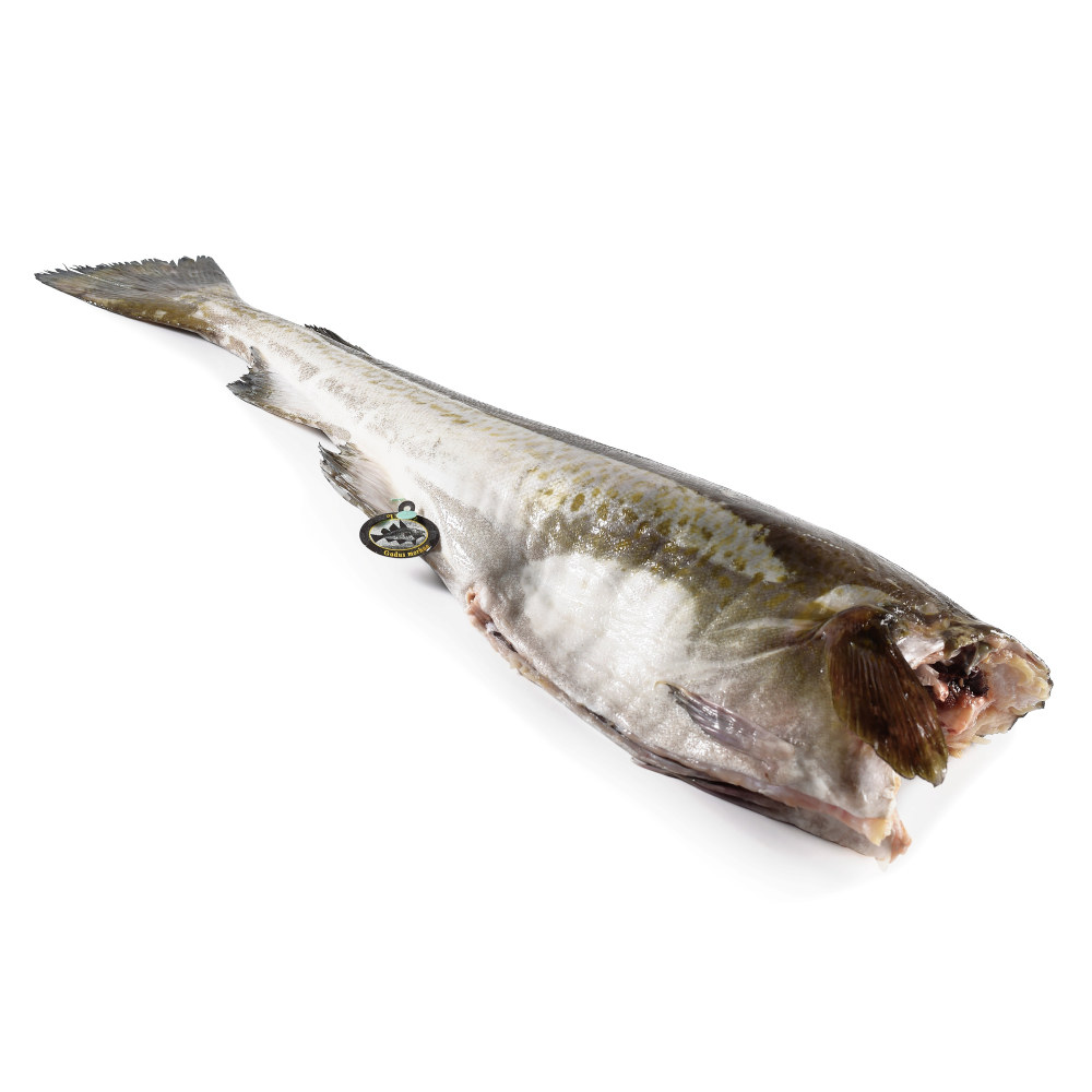 Skrei u/hode 4-6 kg