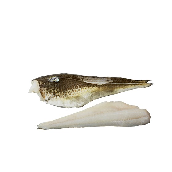 Torskefilet m/skinn Opptint