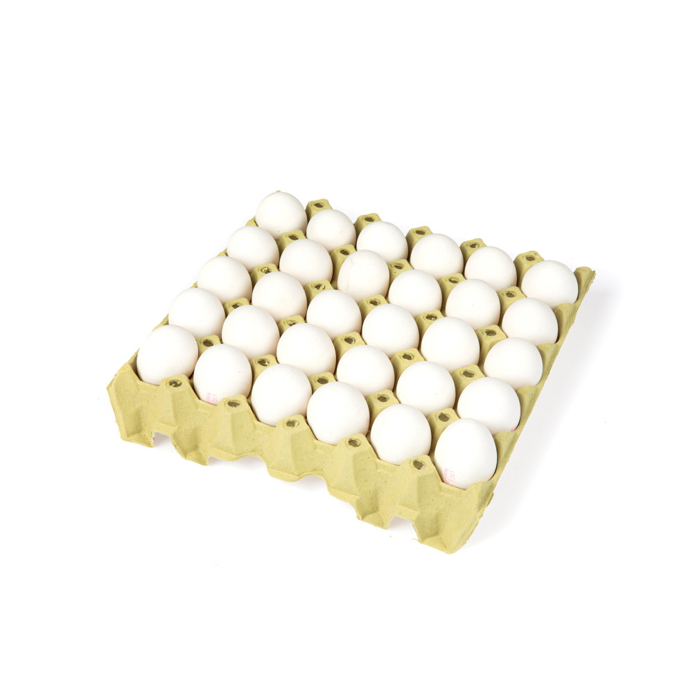 EGG M30 ØKOL. M/L