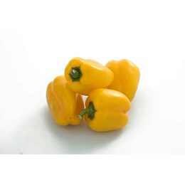 PAPRIKA GUL UFILMET | Bama Storkjøkken